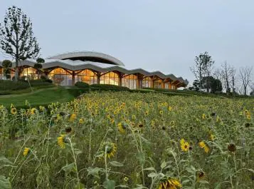 Jinhua Huxi Urban Living Room — rooftop terrace
